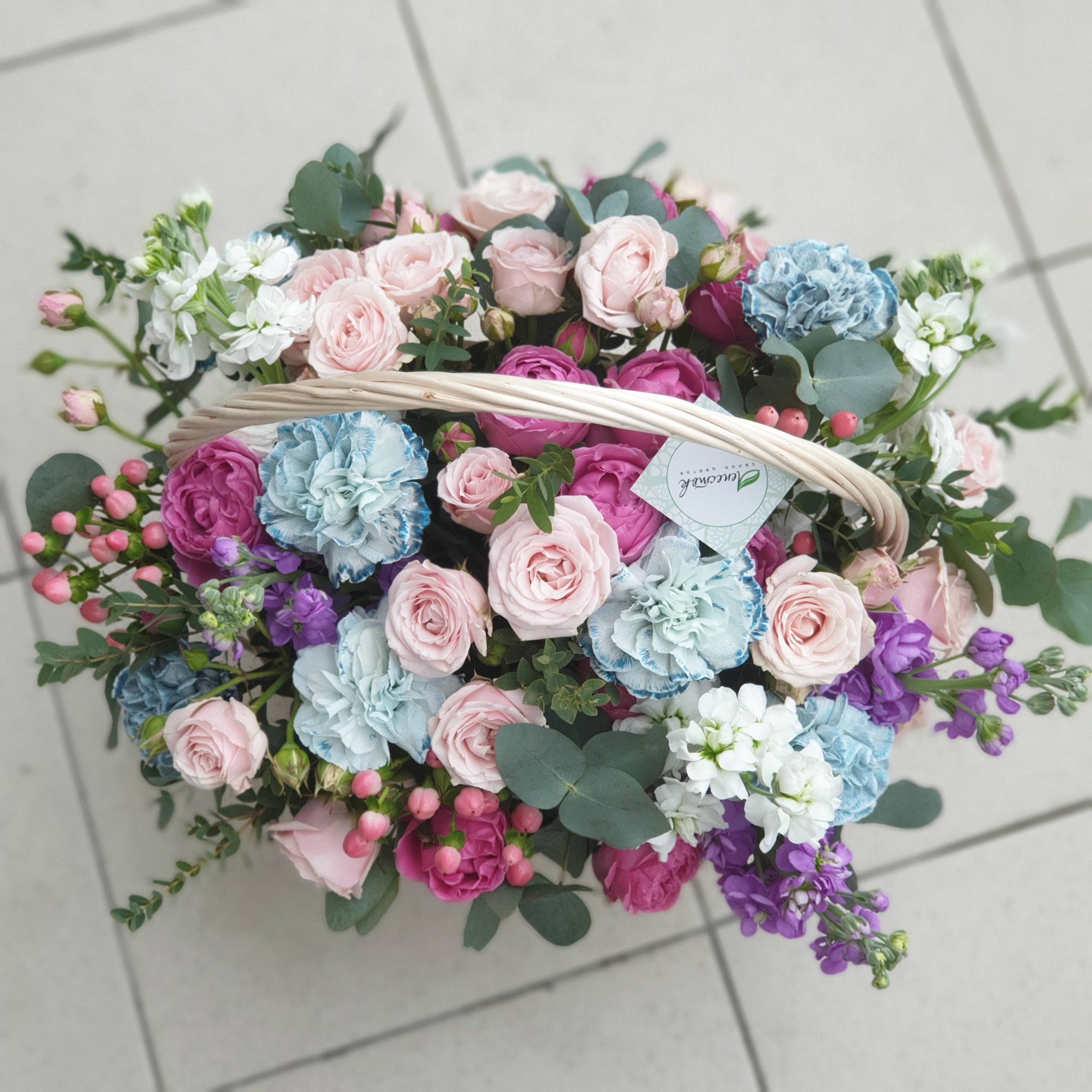 ed2daf5b-550b-4b30-ab92-eb7094c15ac7